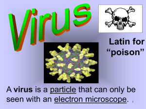 Latin for “poison” virus seen with an electron microscope.
