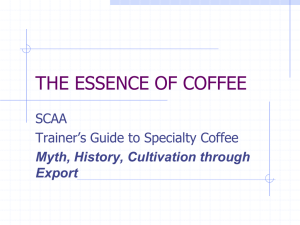 THE ESSENCE OF COFFEE SCAA Trainer’s Guide to Specialty Coffee