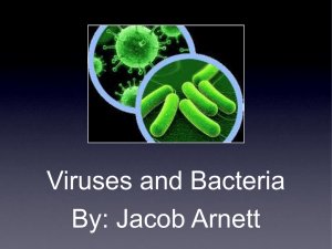 Viruses and Bacteria By: Jacob Arnett