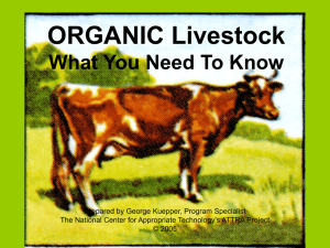ORGANIC Livestock What You Need To Know