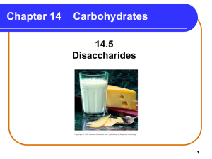 Chapter 14    Carbohydrates 14.5 Disaccharides 1
