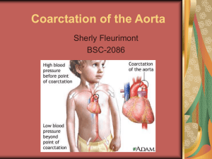 Coarctation of the Aorta Sherly Fleurimont BSC-2086