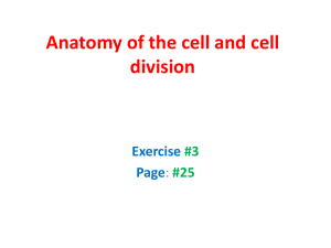 Anatomy of the cell and cell division Exercise Page