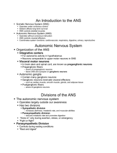 An Introduction to the ANS   Somatic Nervous System (SNS)