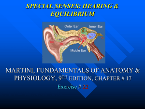 SPECIAL SENSES: HEARING &amp; EQUILIBRIUM MARTINI, FUNDAMENTALS OF ANATOMY &amp; PHYSIOLOGY, 9