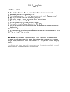 BSC 2011 Study Guide Chapter 19 Chapter 19 – Viruses