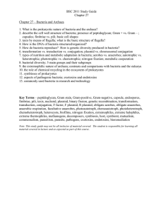BSC 2011 Study Guide Chapter 27 Chapter 27 – Bacteria and Archaea