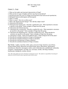 BSC 2011 Study Guide Chapter 31 Chapter 31 – Fungi