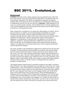 BSC 2011L - Evolution Lab Background