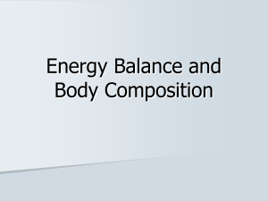 Energy Balance and Body Composition