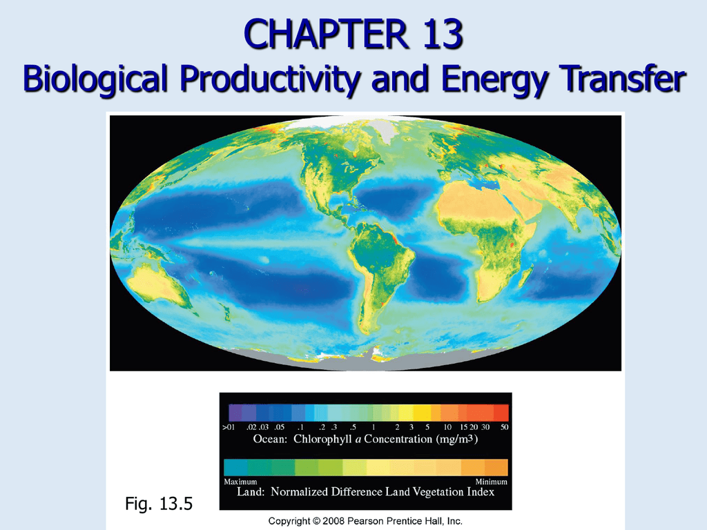 science phenomena for energy transfer in biology