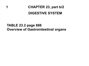 1          ... DIGESTIVE SYSTEM TABLE 23.2 page 888 Overview of Gastrointestinal organs