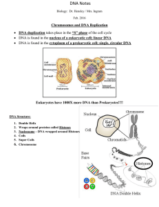 DNA Notes