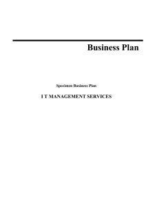 Business Plan  I T MANAGEMENT SERVICES Specimen Business Plan