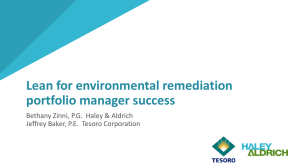 Lean for environmental remediation portfolio manager success