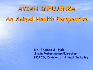 AVIAN INFLUENZA An Animal Health Perspective Dr. Thomas J. Holt State Veterinarian/Director