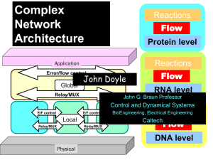 Complex Network Architecture Flow