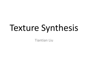 Texture Synthesis Tiantian Liu