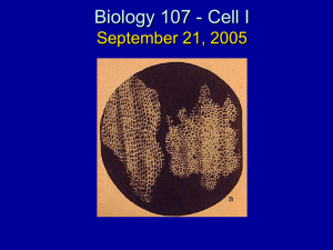 Biology 107 - Cell I September 21, 2005
