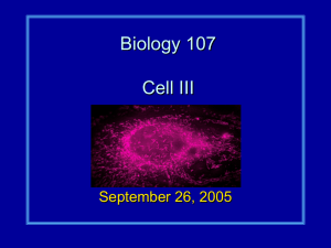 Biology 107 Cell III September 26, 2005