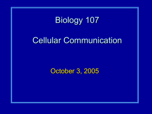 Biology 107 Cellular Communication October 3, 2005