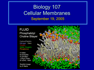 Biology 107 Cellular Membranes September 19, 2005