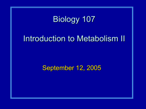 Biology 107 Introduction to Metabolism II September 12, 2005