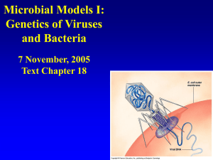 Microbial Models I: Genetics of Viruses and Bacteria 7 November, 2005