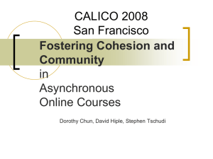 CALICO 2008 San Francisco Fostering Cohesion and Community