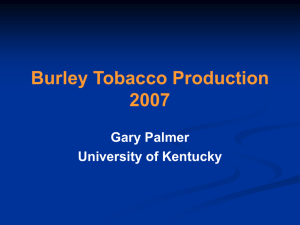 Burley Tobacco Production 2007 Gary Palmer University of Kentucky