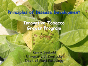Principles of Disease Development Innovative Tobacco Grower Program Kenny Seebold