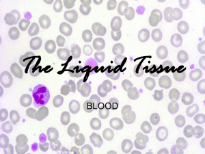 The Liquid Tissue BLOOD