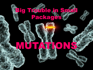 MUTATIONS Big Trouble in Small Packages