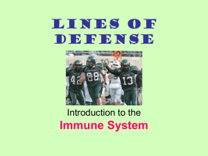 Lines of Defense Immune System Introduction to the