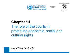 Chapter 14 The role of the courts in protecting economic, social and