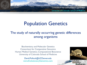 Population Genetics The study of naturally occurring genetic differences among organisms
