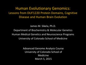 Human Evolutionary Genomics: Lessons from DUF1220 Protein Domains, Cognitive