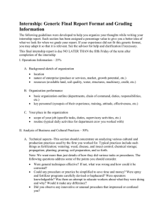Internship: Generic Final Report Format and Grading Information