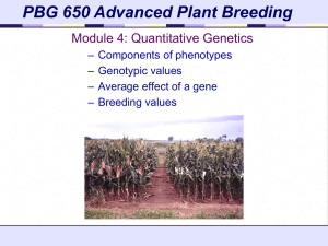 PBG 650 Advanced Plant Breeding Module 4: Quantitative Genetics – Genotypic values