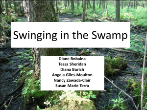 Swinging in the Swamp Diane Robaina Tessa Sheridan Diana Burich