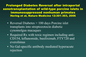 Prolonged Diabetes Reversal after intraportal xenotransplantation of wild-type porcine islets in