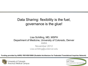 Data Sharing: flexibility is the fuel, governance is the glue!