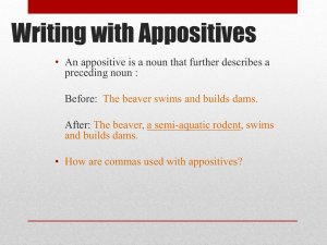 Writing with Appositives