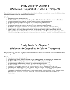 Study Guide for Chapter 6 (Molecules Organelles  Cells  Transport)
