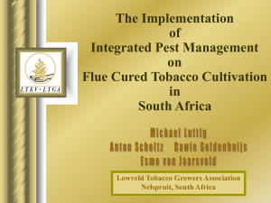 The Implementation of Integrated Pest Management on
