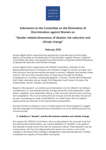 Submission to the Committee on the Elimination of