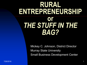 RURAL ENTREPRENEURSHIP or THE STUFF IN THE