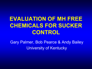 EVALUATION OF MH FREE CHEMICALS FOR SUCKER CONTROL