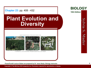 Plant Evolution and Diversity Sylv ia