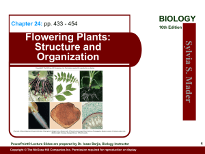 Flowering Plants: Structure and Organization Sylv